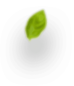 h3 leaf 4-Putino-Food