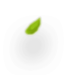 h4 leaf 2-Putino-Food