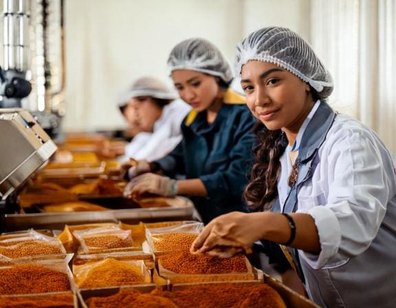 Firefly Female workers are packing spices in the factory. 32934 1-Putino-Food