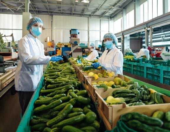 Firefly Workers are processing vegetables and fruits in the factory. 40455-Putino-Food
