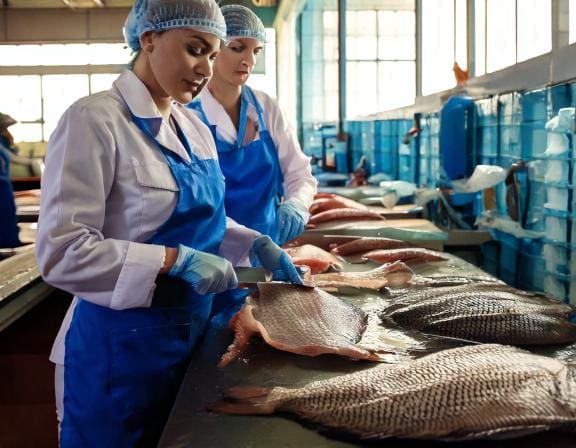 Dịch vụ sơ chế hải sản - Từ Nguyên Liệu Tươi Sống Đến Sản Phẩm Chất Lượng Cao 1-Putino-Food Firefly female workers are filleting fish 40455-Putino-Food