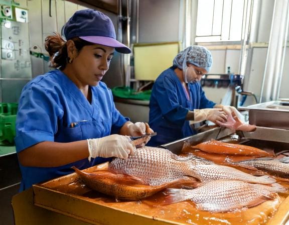 Firefly female workers are filleting fish 9550-Putino-Food