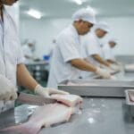 Hình ảnh gia công fillet cá basa